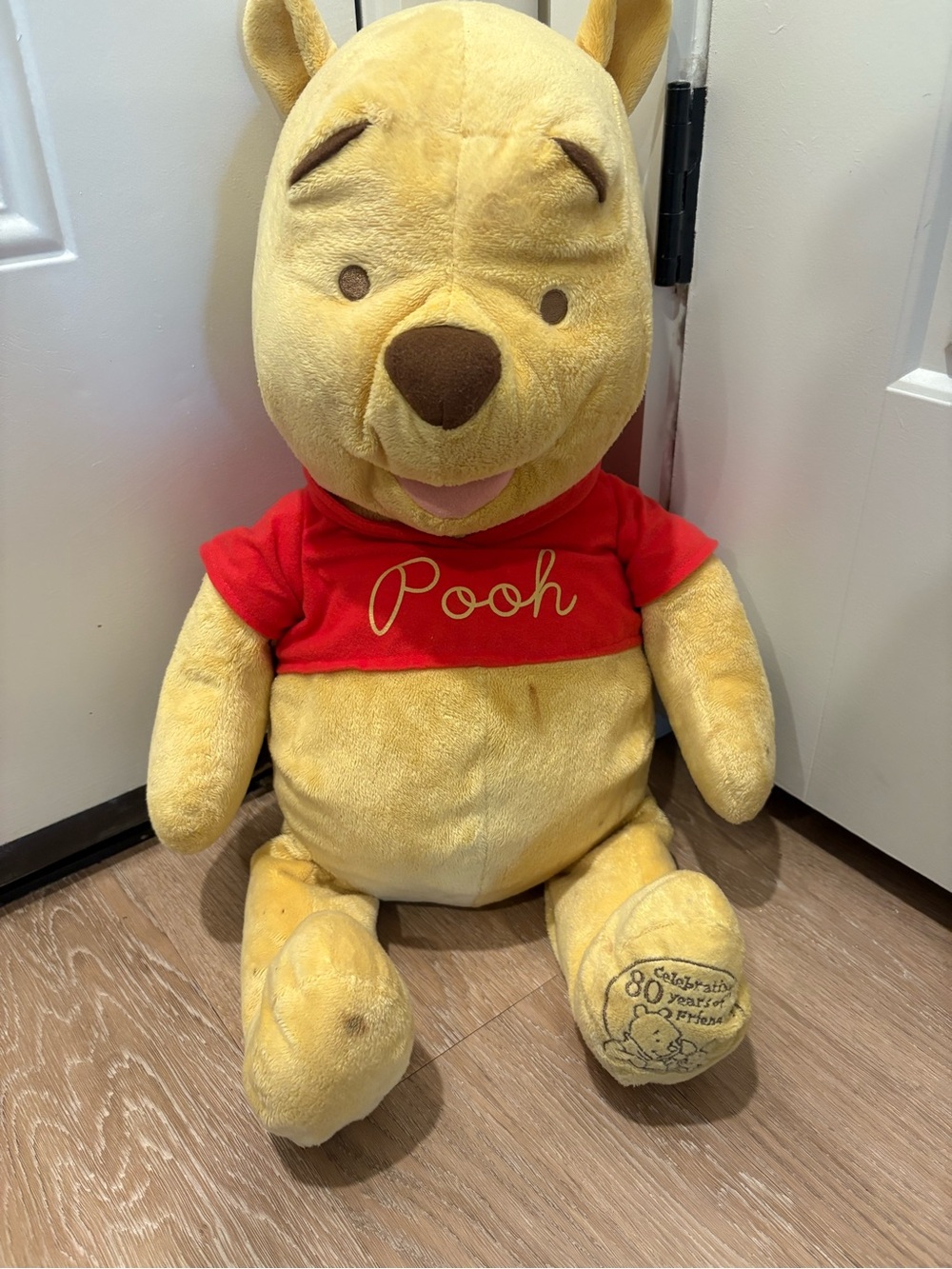Disney Winnie the Pooh Plush - Yellow and Red